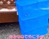 鹿ジャーキー作り方5写真