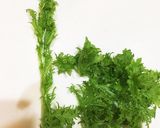 お野菜高騰！な時はわさび菜でお助けサラダ作り方2写真