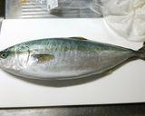 今が旬★ハマチしょうゆ漬け飯‼作り方2写真