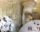 エノキとエリンギのぺペロンチーノ風作り方1写真