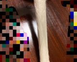 世界一簡単クッキー作り方4写真