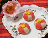 和菓子★レンジで簡単!ねりきり椿作り方17写真