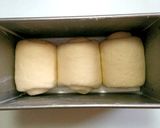自家製酵母の食パン(定番の山食)作り方7写真
