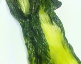 高菜の浅漬け（若高菜）作り方4写真