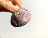 雑穀米おはぎ（粒あん、ずんだ、胡桃あん）作り方3写真