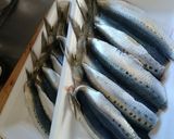 イワシつみれ鍋 ＊お子様大好き挽き肉入＊作り方1写真