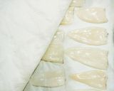 イカのフリット作り方1写真
