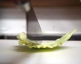 キャベツの千切り（極細）作り方11写真