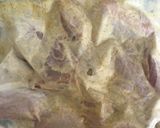 カレーパエリア作り方1写真