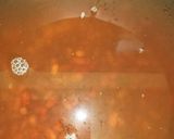 小正月に簡単小豆粥作り方7写真