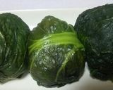 高菜の浅漬け（若高菜）作り方5写真
