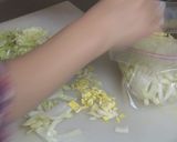 即席白菜漬け作り方1写真