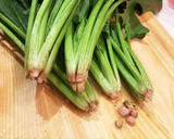 料理の基本・ほうれん草の茹で方作り方1写真