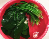 料理の基本・ほうれん草の茹で方作り方6写真
