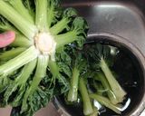 基本のタアサイ浅漬け作り方1写真