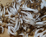 鶏むね肉ともやし しめじのさっぱり和え❀作り方2写真