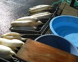 煮ないよ。凍み大根の作り方作り方2写真