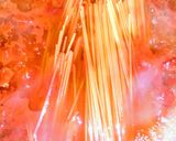 簡単！うまみたっぷりツナのトマトパスタ☆作り方2写真