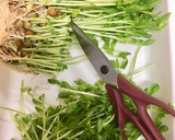 超簡単！豆苗ともやしの焼きそば作り方2写真