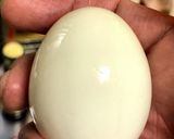 理系が作った『半熟ゆで玉子』作り方6写真