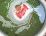 熱中症予防に♪アイス梅緑茶作り方4写真
