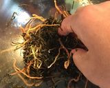 簡単、いかにんじん作り方2写真