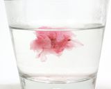 桜茶 ひな祭りなど慶事の席に!作り方5写真