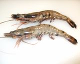 寿司用 蒸し海老の作り方作り方1写真