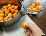 金柑ジャム作り方1写真