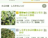 簡単❤かぶの葉とシラスのにんにく炒め作り方5写真