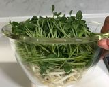レンチン★豆苗とモヤシのナムル作り方1写真