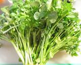 簡単1品♪クレソンのコク旨オイバタ炒め作り方6写真