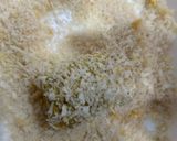 じゃがいもコロッケ作り方8写真