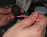 バレンタインに♡義理チョコ軍団?!作り方2写真