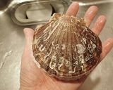 ホタテ貝の刺身作り方1写真