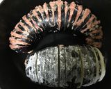 米なすの丸ごとはさみ焼き作り方8写真