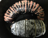 米なすの丸ごとはさみ焼き作り方8写真