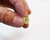 寿司型・模様巻き(ちょうちょ)作り方1写真