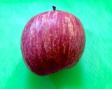 自宅で美味しく♪蜂蜜入りりんごジャム作り方1写真