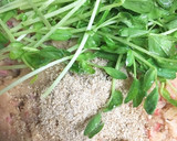 10分で完成！超簡単♡豆苗とおからの煮物作り方6写真