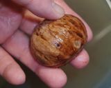 生栗の下茹で!ベーキングパウダーver作り方13写真