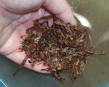 生栗の下茹で!ベーキングパウダーver作り方14写真