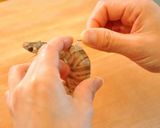 牡蛎と海老焼きそば　オイスター味　作り方13写真