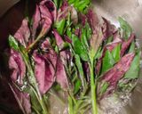 金時草のおかかポン酢作り方2写真