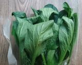 葉物野菜の簡単な復活（保存）方法！作り方1写真