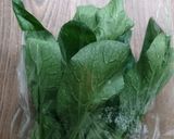 葉物野菜の簡単な復活（保存）方法！作り方2写真