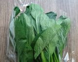 葉物野菜の簡単な復活（保存）方法！作り方4写真