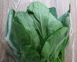 葉物野菜の簡単な復活（保存）方法！作り方5写真