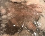 見た目より絶品　牛塊肉のオートミール煮作り方2写真