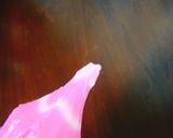 なるとのお花作り方5写真